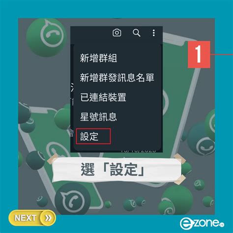 雙灰剔意思|【教學】WhatsApp 超實用秘技！即睇 20 個隱藏功。